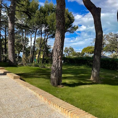 Villa Lucilla - B&B Rooms And Pool Potenza Picena Exterior photo